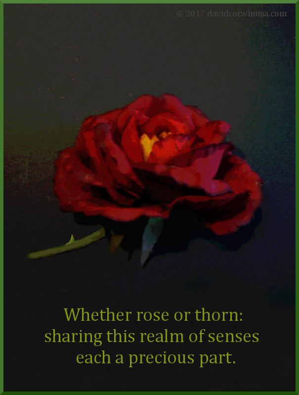 Haiku Written & Illustrated by American Poet/Artist David Corwin